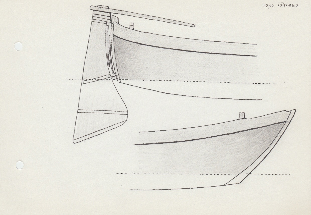 595 Topo istriano